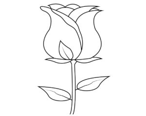 Simple Rose Flower Coloring Pages