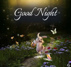 good night images rabbit