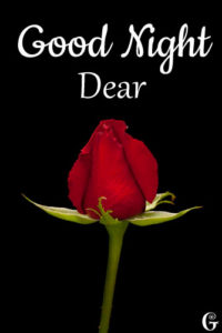 good night images red-rose