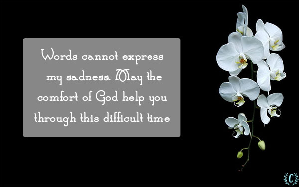 words of comfort for loss of family member sms