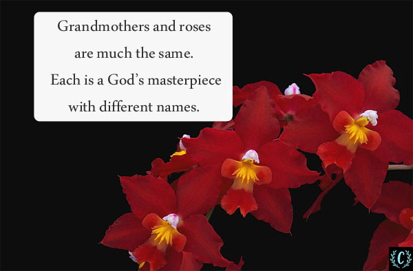words of sympathy for loss of mother and grandmother