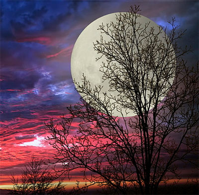 alone nature moon dp for whatsapp