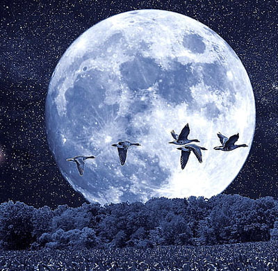 beautiful moon dp for whatsapp