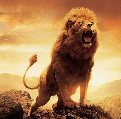 dangerous lion dp for whatsapp