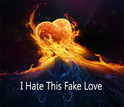 i hate this fake love dp