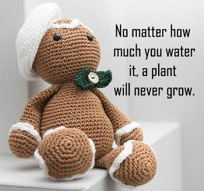 life cute whatsapp dp