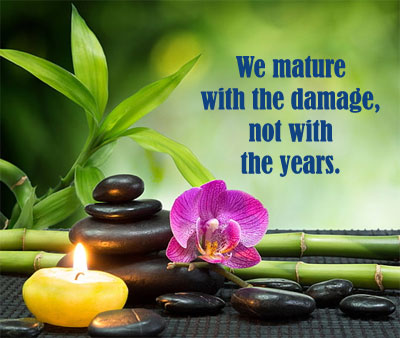 life whatsapp dp beautiful quotes
