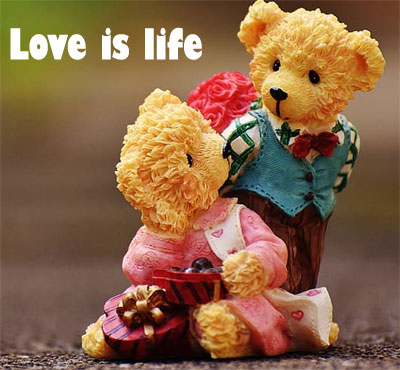 life whatsapp dp pic