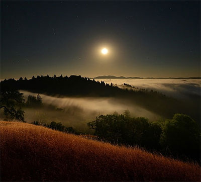 nature moon dp for whatsapp