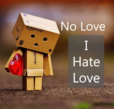 no love i hate love dp