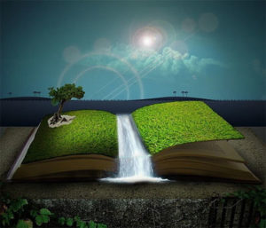 study time dp images