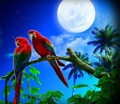 stylish cute moon dp for whatsapp