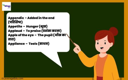 100 Daily Use English Words with Hindi Meaning